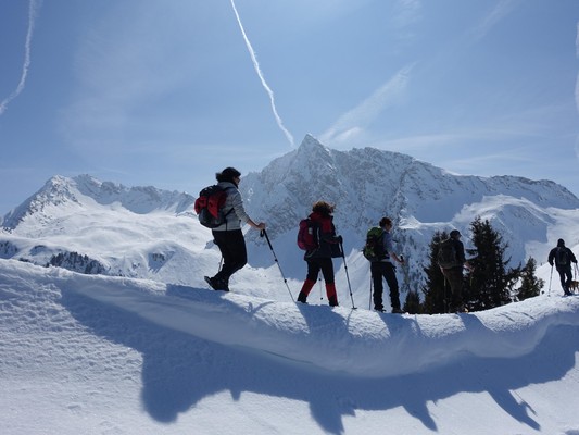 Activities Merano / Meran and surroundings