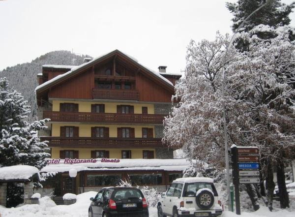 Foto invernale di presentazione Pineta - Hotel 3 stelle