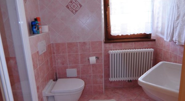Foto del bagno Hotel Alpino