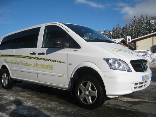 Taxi Service Walter La Villa