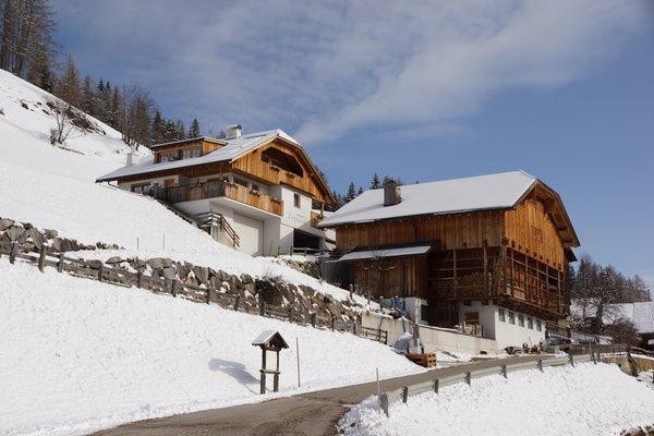 Foto Außenansicht Ferienwohnungen auf dem Bauernhof Laguscel
