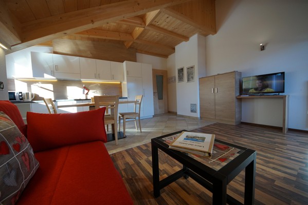 The living area Farmhouse apartments Laguscel