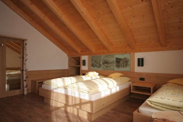 Photo of the room Farmhouse apartments Laguscel