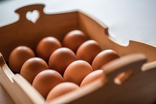 Il cibo