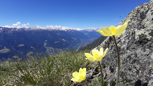 Panoramic view Lana