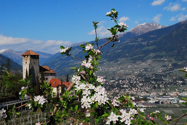 Panoramic view Lana