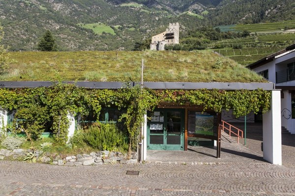 Bildergalerie