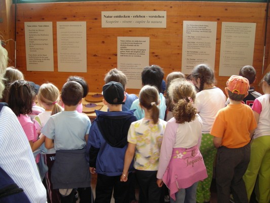 Photo of some details Nature park Texelgruppe / Gruppo di Tessa (visitor centre)