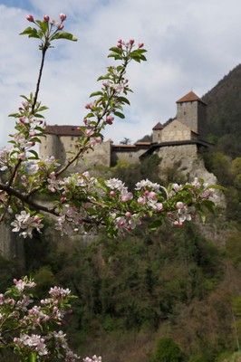 Foto Außenansicht Schloss Tirol