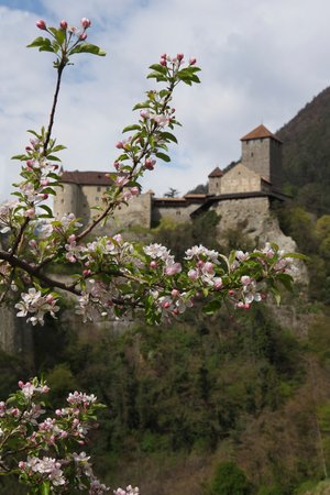 Präsentationsbild Schloss Tirol
