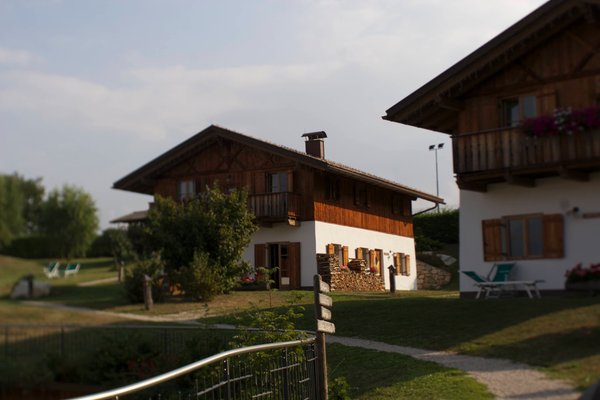 Foto esterno in estate Pineta Hotels Nature Wellness Resort