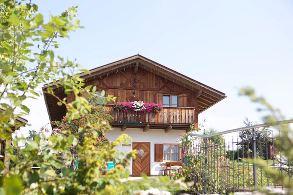 Foto esterno in estate Pineta Hotels Nature Wellness Resort
