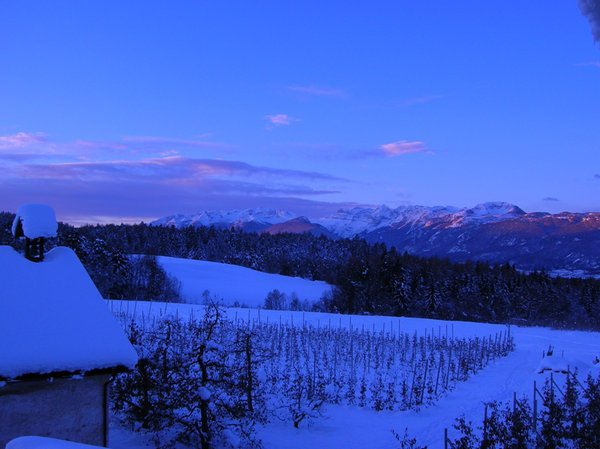 Gallery inverno