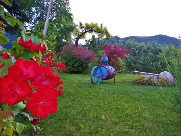 Photo of the garden Tuenno (Val di Non)