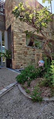 Photo of the garden Tuenno (Val di Non)
