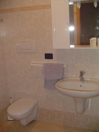 Foto del bagno Camere + Appartamenti in agriturismo Al Ranch