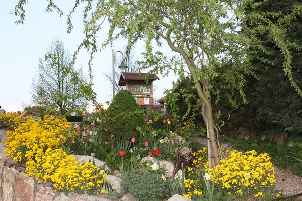 Foto del giardino Smarano (Val di Non)