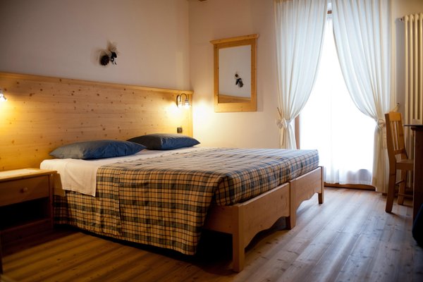 Foto della camera B&B + Appartamenti in agriturismo Renetta