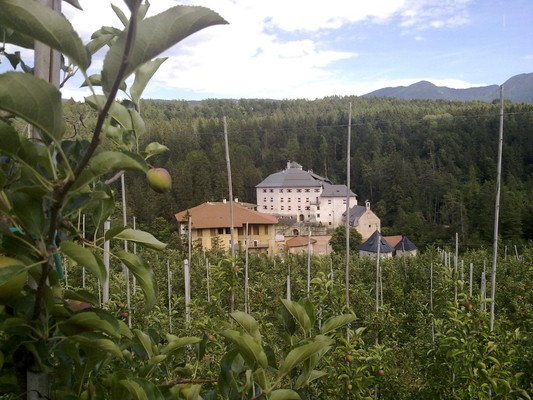 Foto esterno B&B in agriturismo Coryletum - Bosco di Noccioli