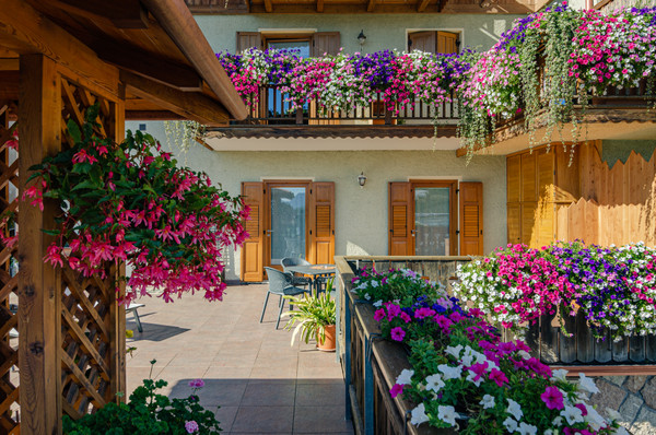 Photo exteriors Farmhouse B&B Coryletum - Bosco di Noccioli