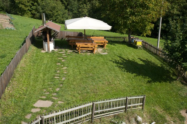 Photo of the garden Rumo