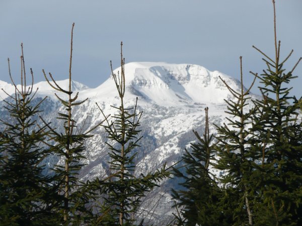 Panorama Sfruz (Val di Non)