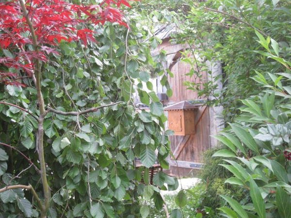 Foto del giardino Campodenno (Cles - Tuenno - Ton)