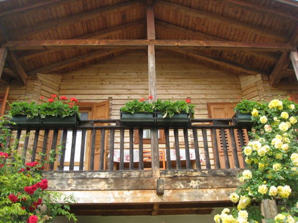 Foto esterno in estate Casa delle Fate