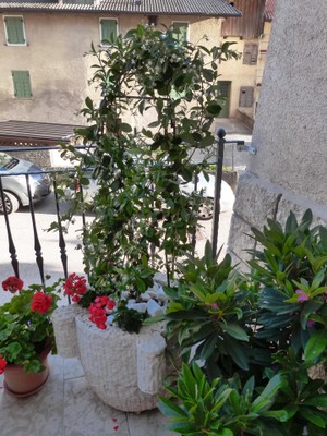 The entrance