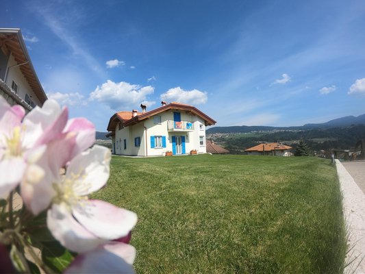 Foto Außenansicht im Sommer Nel Verde