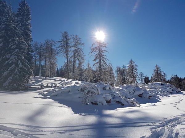 Gallery inverno