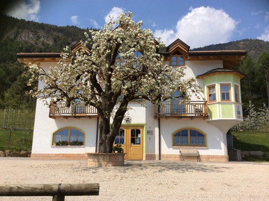 Photo exteriors Farmhouse B&B + Apartments Maso Tafol