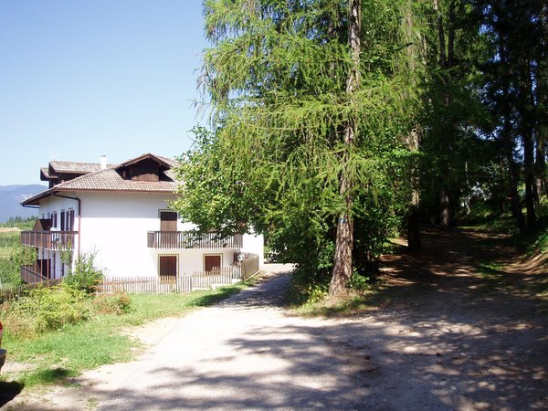 Foto esterno in estate Leonardelli Pio