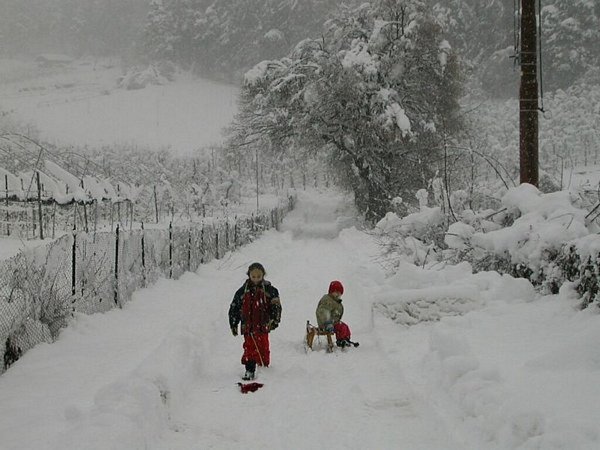 Gallery inverno