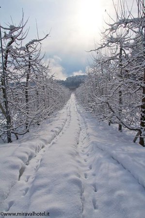 Gallery inverno