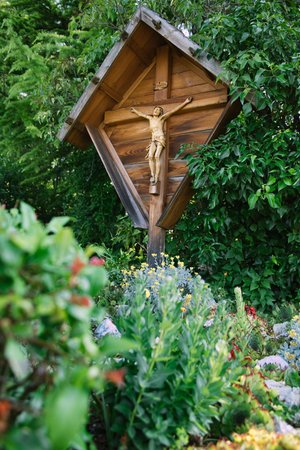 Foto del giardino Coredo (Taio - Predaia)