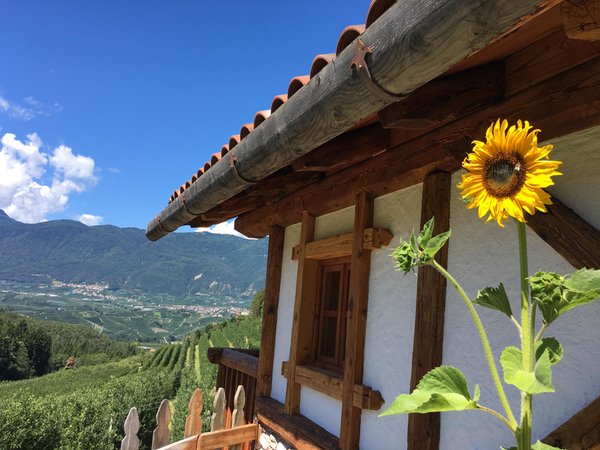 Photo of the balcony Alpenvidehof