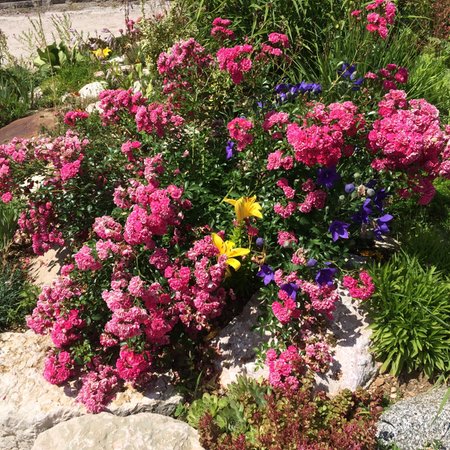 Photo of some details Alpenvidehof