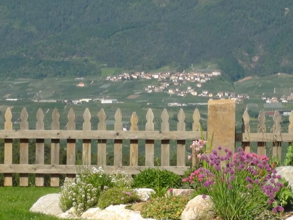 Photo of the garden Coredo (Taio - Predaia)
