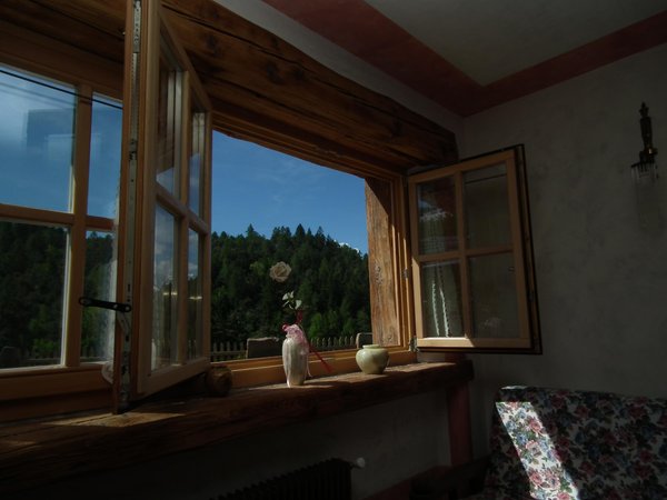 View from the business