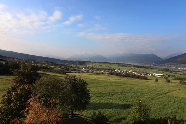 Bildergalerie Sommer