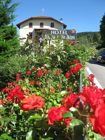 Foto esterno in estate Stella delle Alpi Wellness & Resort