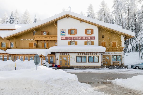 Foto esterno in inverno Waldheim Resort & Spa