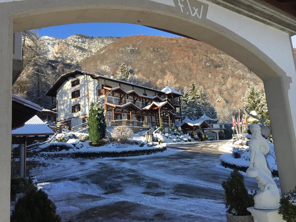 Foto esterno in inverno Scoiattolo