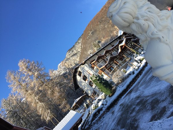 Foto esterno in inverno Scoiattolo