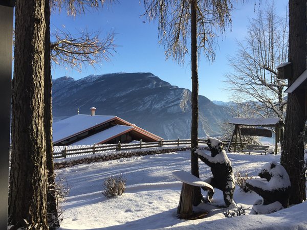 Foto del giardino Sporminore (Val di Non)