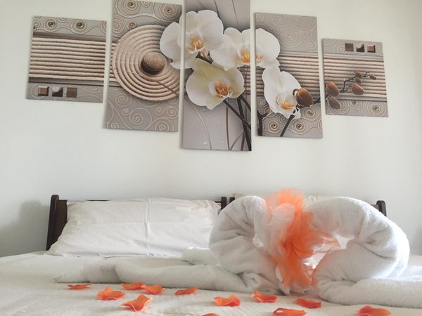 Foto della camera Hotel Scoiattolo