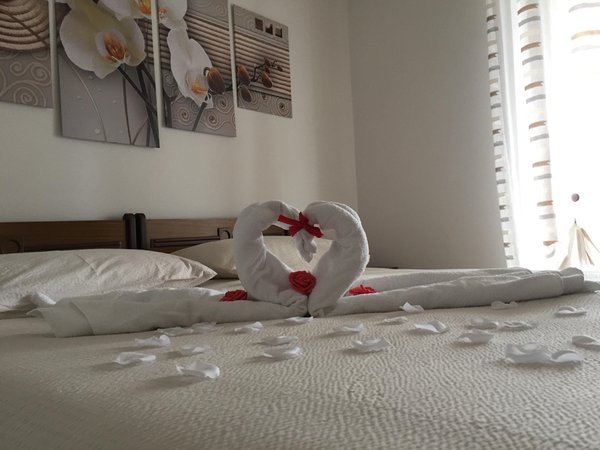 Foto della camera Hotel Scoiattolo