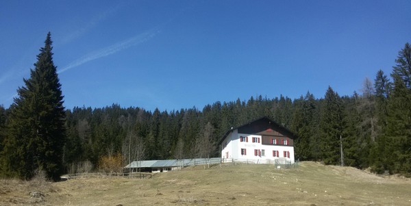 Foto esterno Malga di Fondo