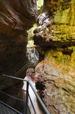 Canyon Rio Sass Fondo - Mendola